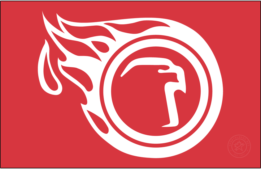Liberty Flames 1984-1985 Primary Dark Logo DIY iron on transfer (heat transfer)
